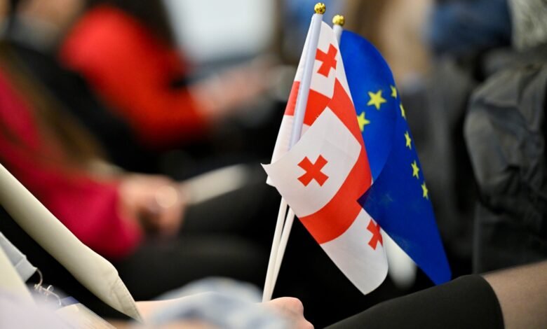 Флаги Грузии и Европейского союза на мероприятии в Тбилиси