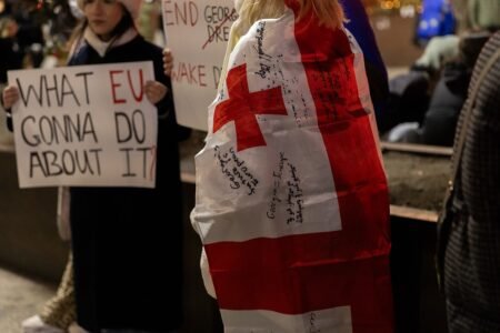 Протесты в Грузии — участники с плакатами и флагом