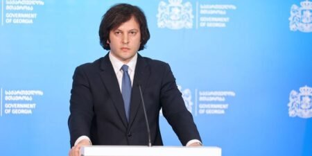Иракли Кобахидзе на брифинге правительства Грузии