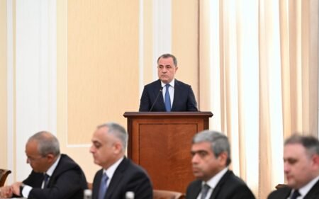Министр иностранных дел Азербайджана Джейхун Байрамов выступает на заседании в Баку