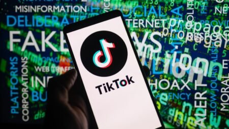 Логотип TikTok на фоне слов "fake", "hoax", "misinformation"