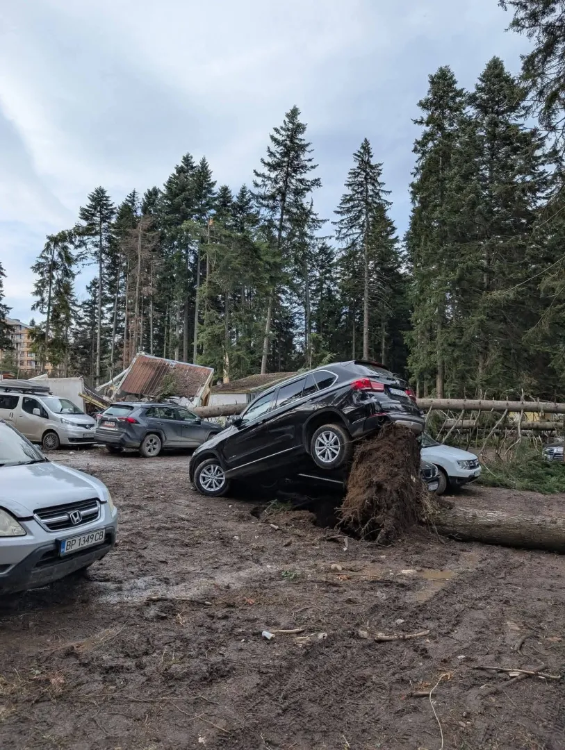 Автомобиль BMW поднят выкорченным деревом на парковке Боровца