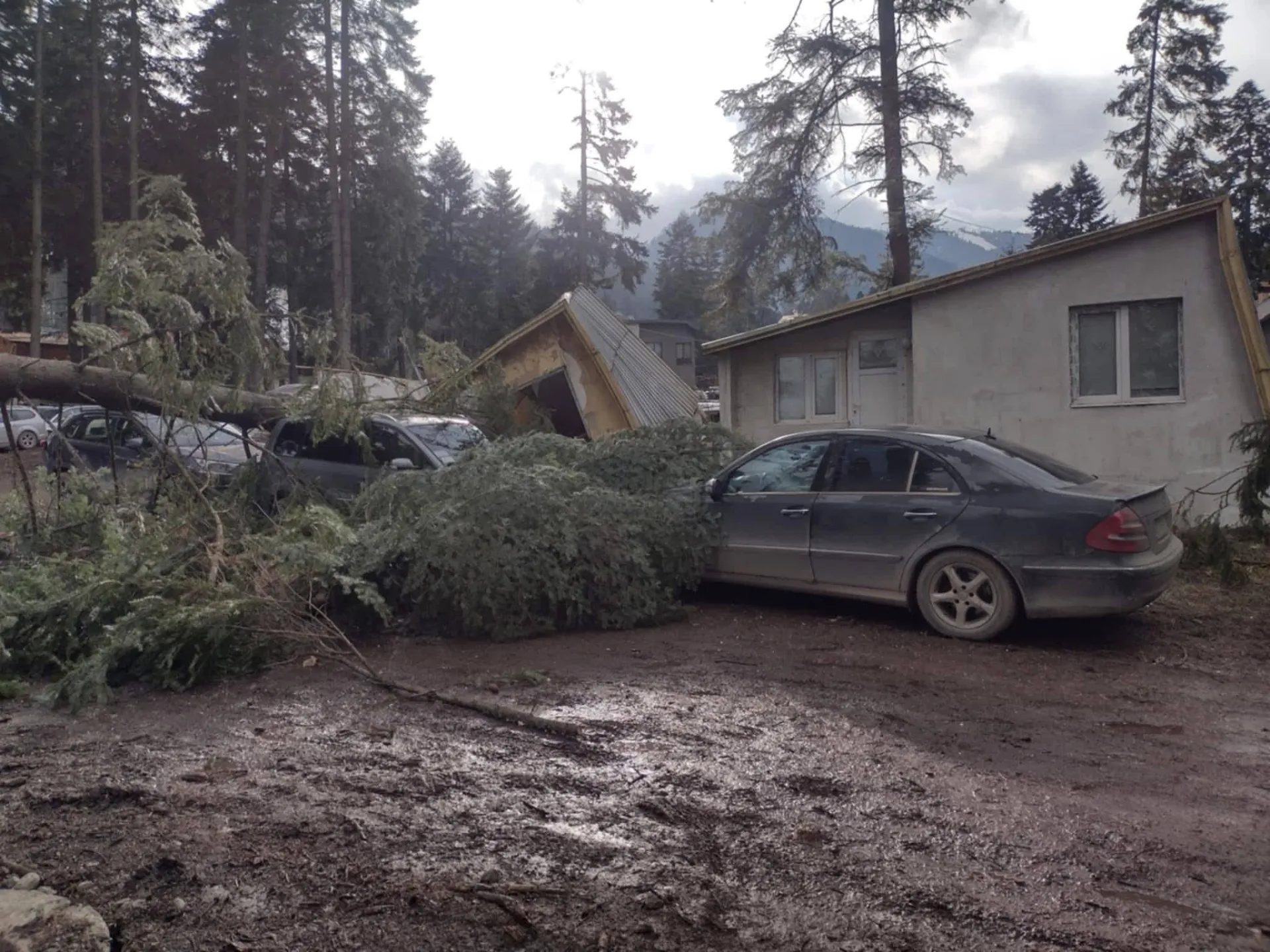 Последствия урагана в Боровце на фоне гор Рила
