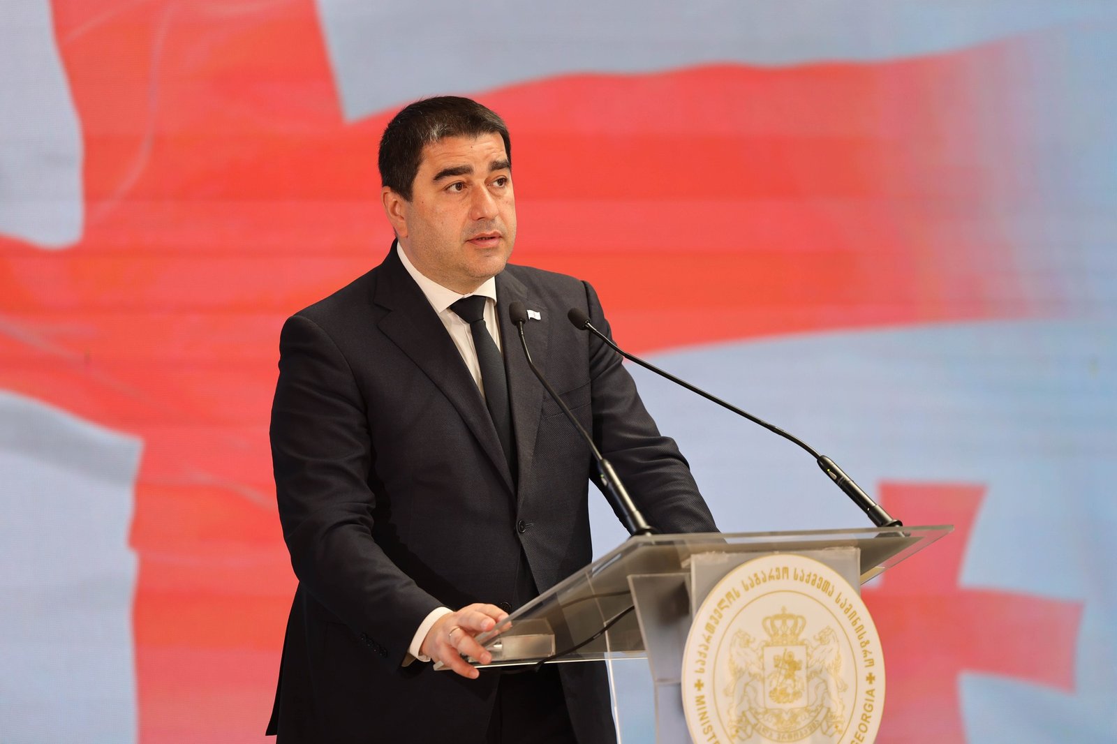Parliament Speaker Shalva Papuashvili speaking at official podium with Georgian flag in background