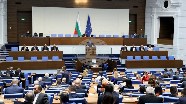 Пленарное заседание Народного собрания Болгарии. Фото: БТА
