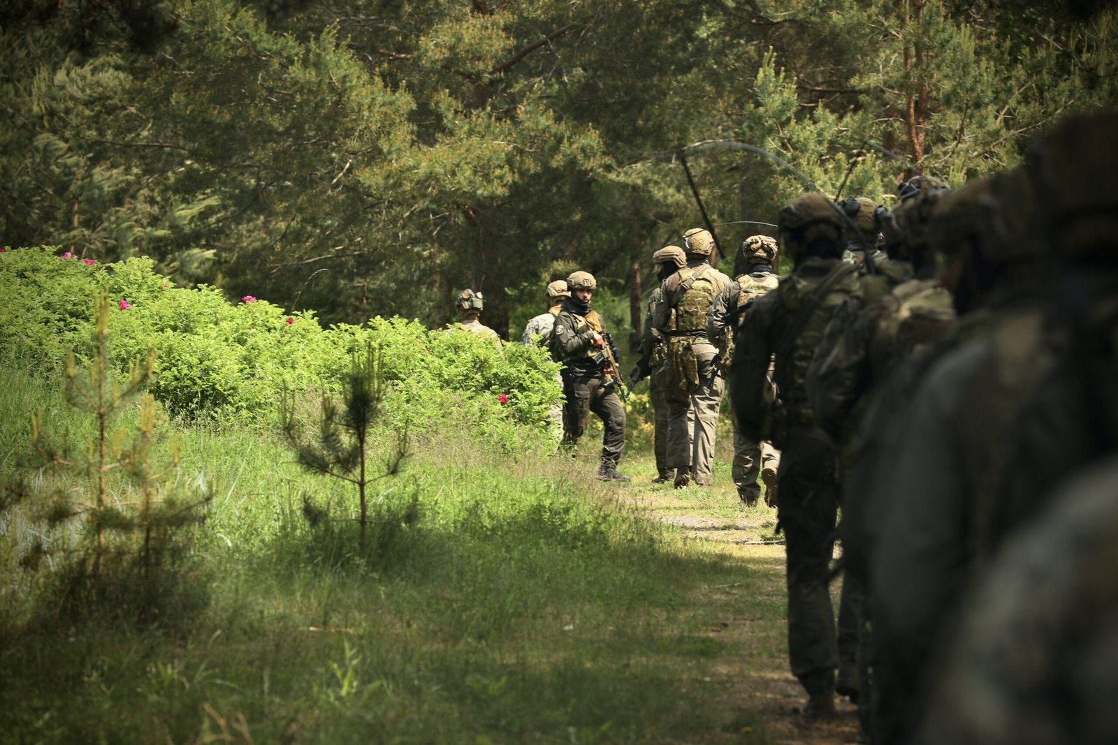 Солдаты в тактическом снаряжении во время учений в лесу, военная готовность Европы