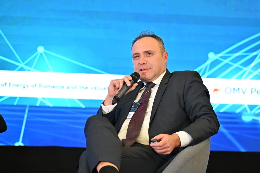 Energy expert speaking at conference with microphone