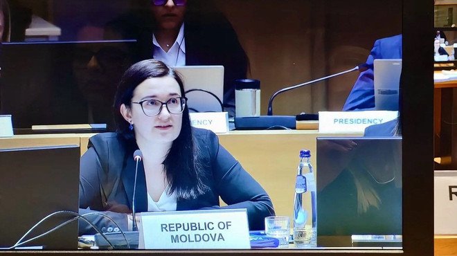 Кристина Герасимов на заседании рабочей группы COELA с табличкой Республика Молдова