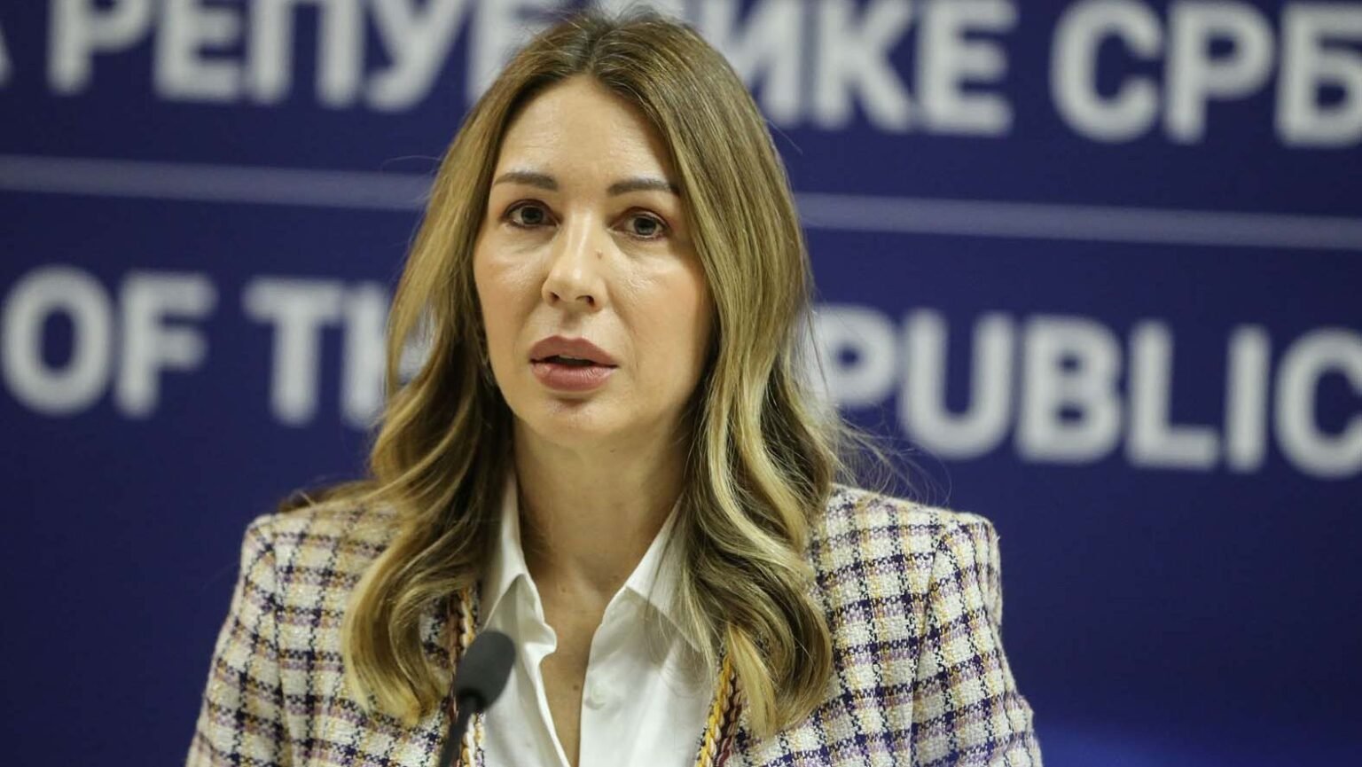 Министр энергетики Сербии Дубравка Джедович-Хаданович на пресс-конференции