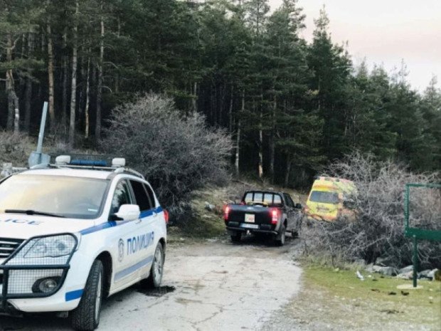 Police car and ambulance at forest scene near discovery site