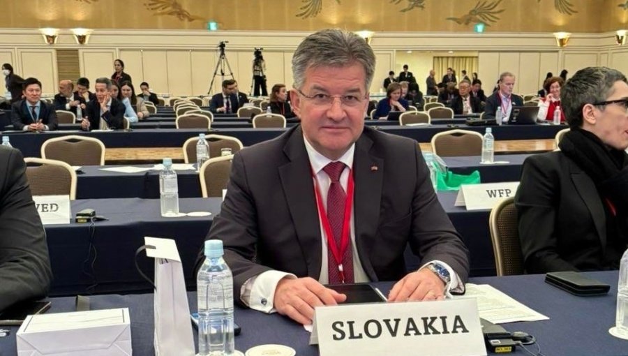 Lajčák at Slovakia delegation conference