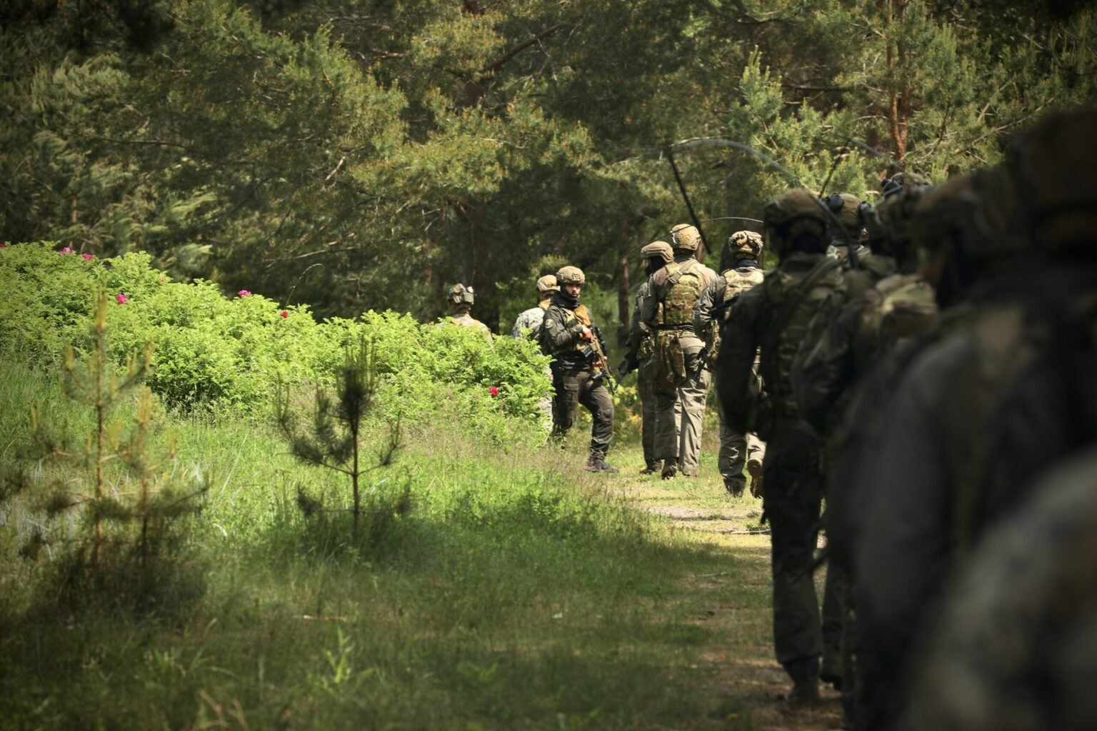 Atlantic Council: пять сценариев нападения России на НАТО Военнослужащие в камуфляже на учениях в лесной местности