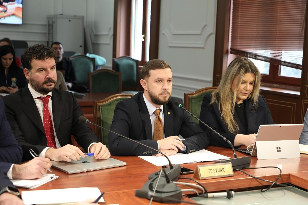 Заседание парламентского комитета с приглашёнными экспертами