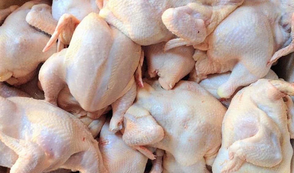 Raw poultry meat - directly illustrates the subject of the poultry import ban