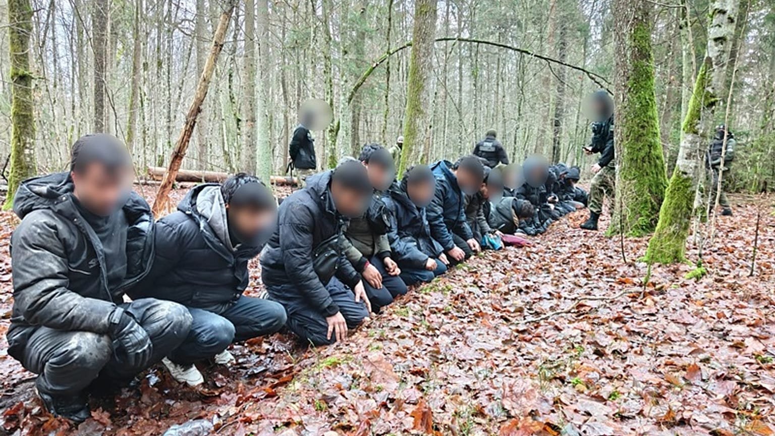 Large group of migrants detained in Polish forest near Belarus border