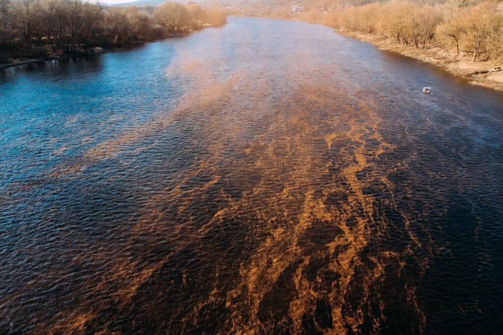 Аэросъёмка реки Днестр — нефтяное загрязнение хорошо видно с воздуха, коричневые пятна нефтепродуктов покрывают поверхность воды