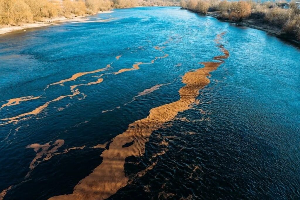 На Днестре у Погреби нашли мёртвых птиц: что известно Аэросъёмка загрязнения Днестра нефтепродуктами — полоса коричневого пятна тянется по поверхности реки