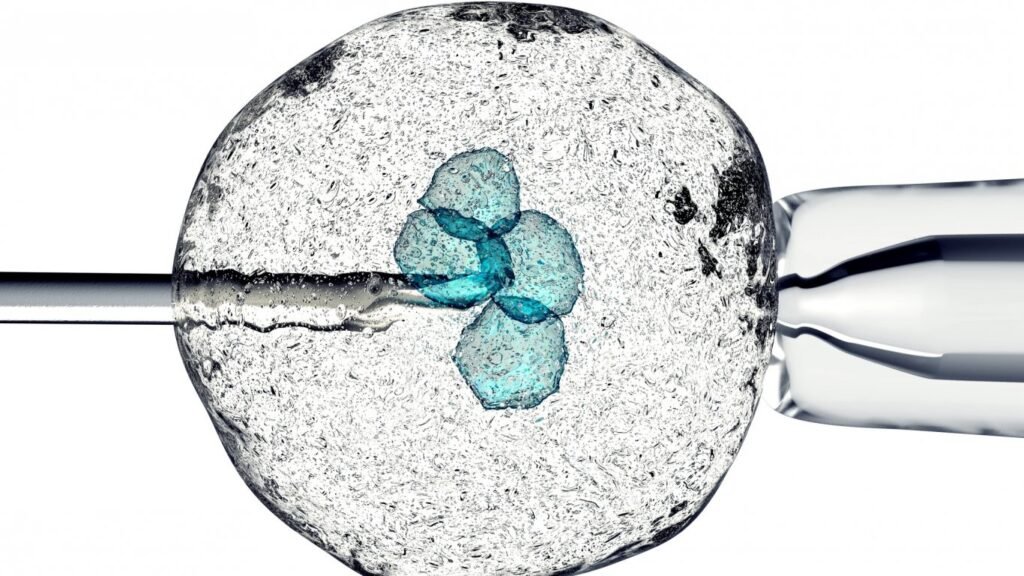 Процедура ЭКО — инъекция в эмбрион под микроскопом