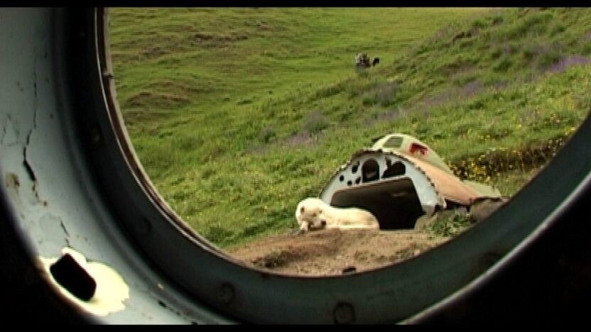 Неделя нидерландского кино открылась в Тбилиси Кадр из фильма грузинского режиссёра Тато Котетишвили — вид через иллюминатор на горный пейзаж с собакой у обломков конструкции