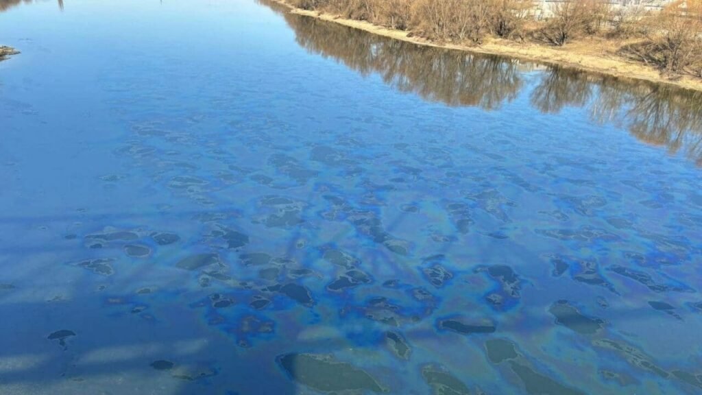 Нефтяные пятна на поверхности Днестра — загрязнение распространилось по реке после удара по Днестровской ГАЭС