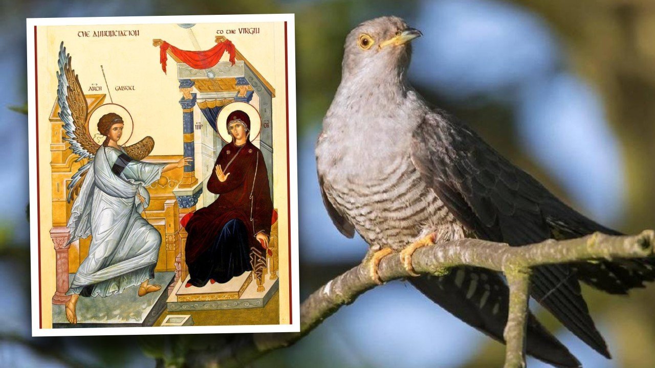 Православная икона Благовещения рядом с кукушкой на ветке — по румынскому поверью, услышать кукушку в этот день считается добрым знаком