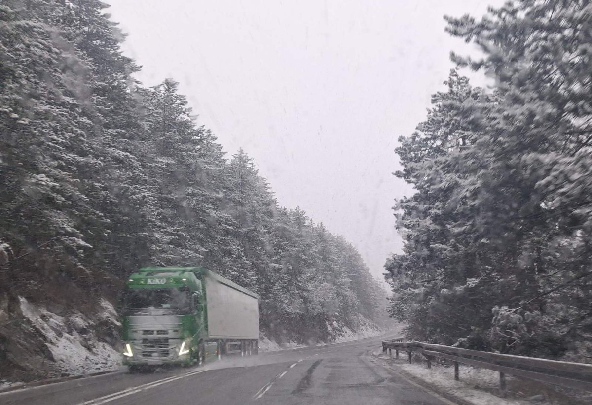 Грузовик движется по заснеженной трассе среди покрытых снегом деревьев в горах Сербии
