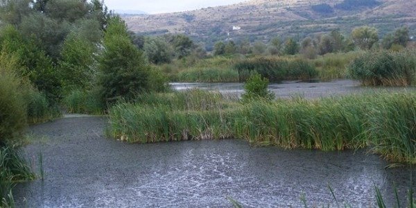Водоём и растительность в окрестностях Кочериново — водные ресурсы общины