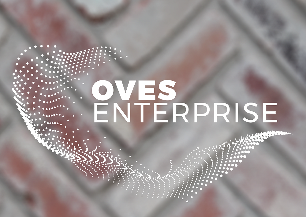 Логотип румынской компании OVES Enterprise, разработчика платформы Nemesis AI