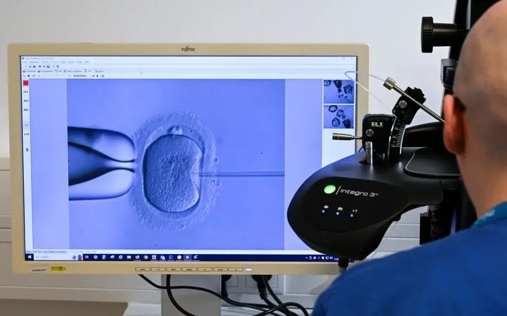 Эмбриолог проводит процедуру ЭКО, наблюдая за инъекцией в яйцеклетку на мониторе микроскопа