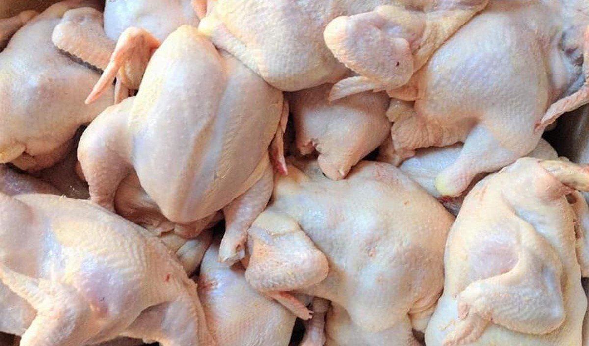 Сырые куриные тушки — иллюстрация торгового спора о поставках мяса птицы. Фото: Logos Press