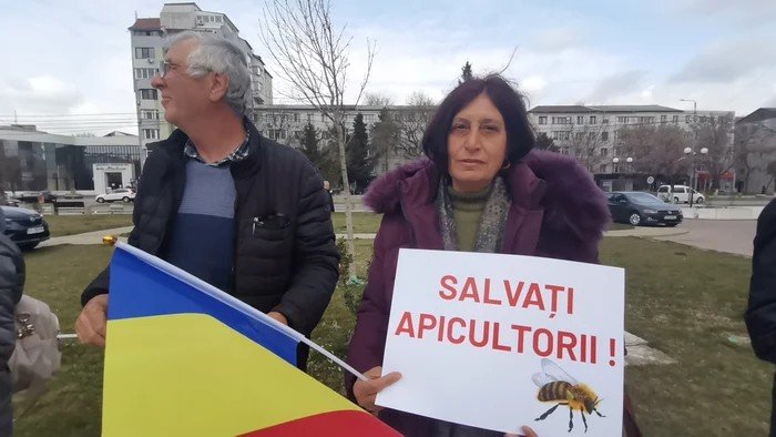 Женщина с румынским флагом держит плакат с надписью «Salvați Apicultorii!» и изображением пчелы на фоне городского пейзажа