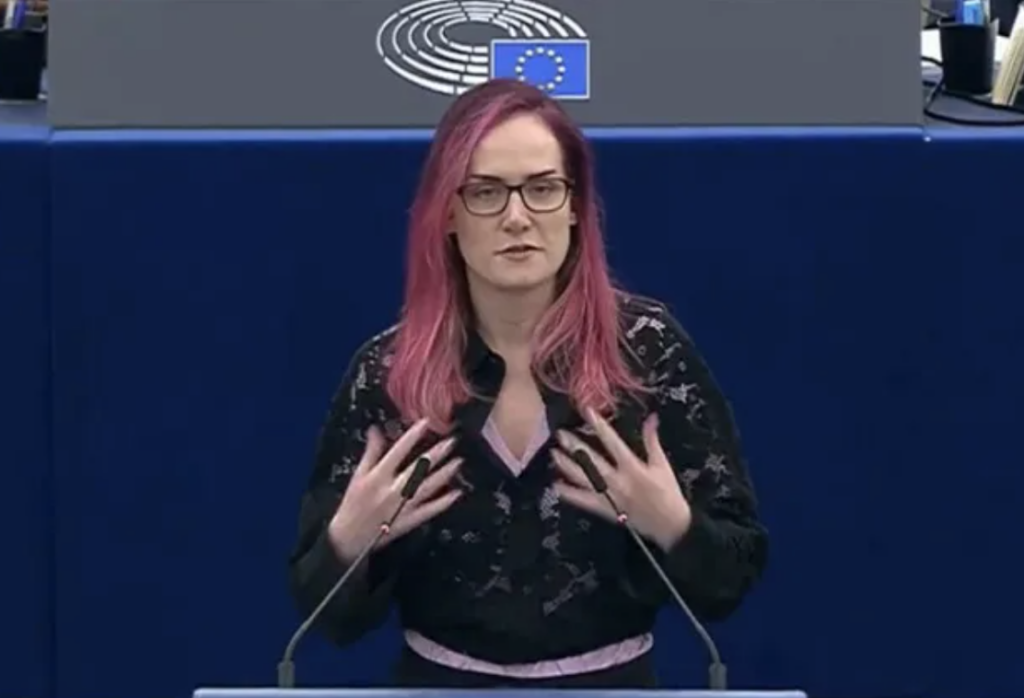 Депутат Европарламента выступает в ходе дебатов по ситуации в Грузии, Страсбург