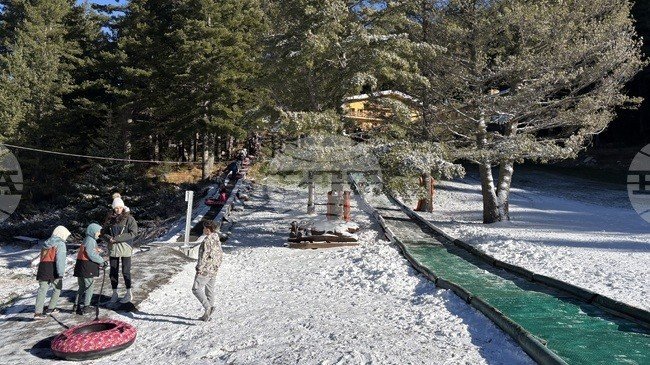 Семьи с детьми на горке для снежных тюбингов в курортном комплексе «Мальовица» среди сосен