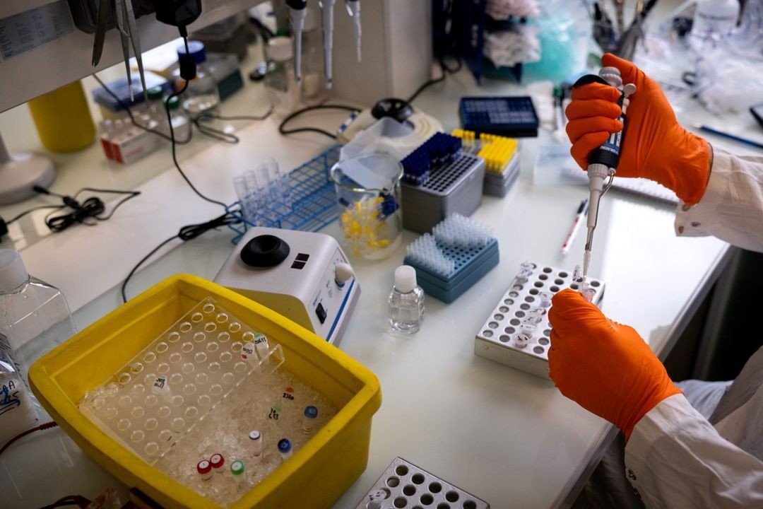 Laboratory scientist with orange gloves using pipette with test tubes. Фото: CEDMO