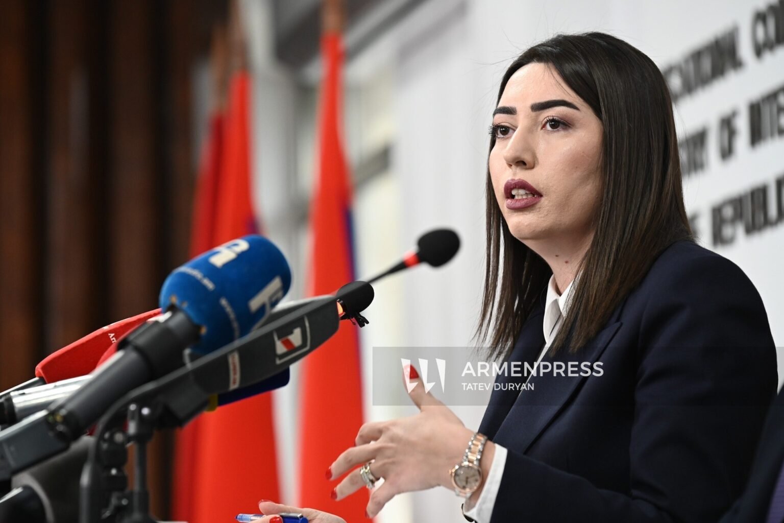 Представительница армянских властей выступает на пресс-конференции, посвящённой миграционным тенденциям
