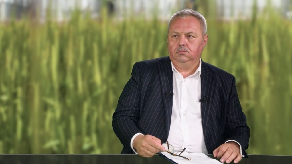 Зерно и овцы: как фермер в Констанце совмещает два бизнеса Маню Воника в студии на фоне зеленого кукурузного поля