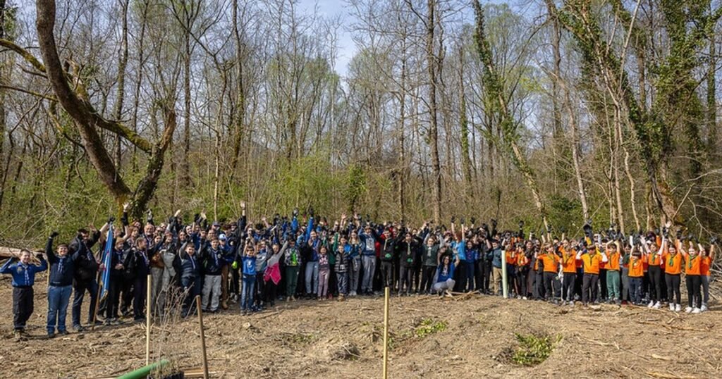 Около 200 волонтёров-скаутов и лесников собрались на поляне Мотовунского леса после высадки тысячи саженцев дуба