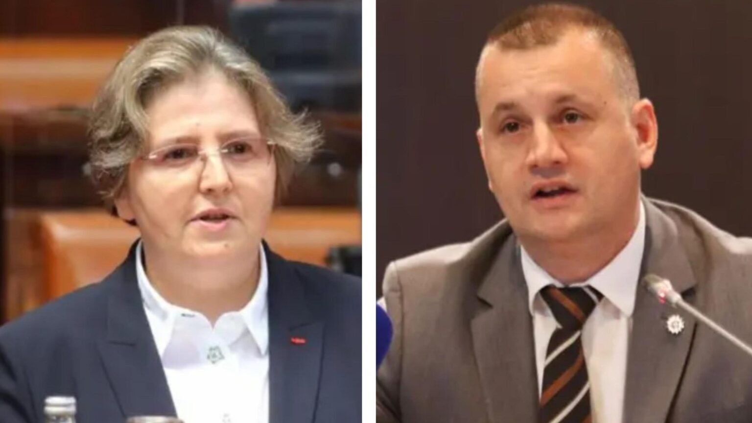 Прокуроры Сербии получали указания от спецслужбы BIA перед выборами в Высший совет Загорка Долоцвач и Ненад Стефанович — ключевые фигуры выборов в Высший совет прокуратуры