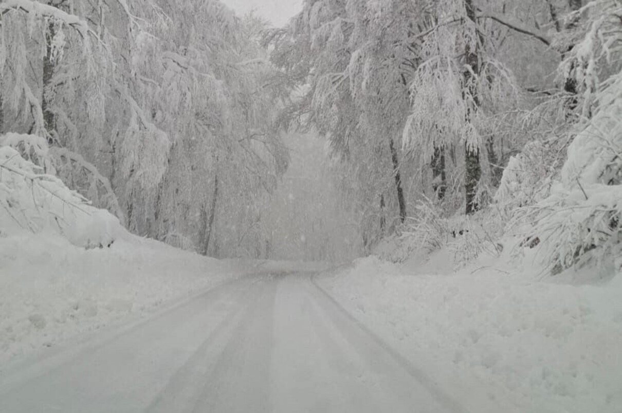 Дорога через лес в регионе Лика полностью засыпана снегом, деревья гнутся под тяжестью обильных осадков