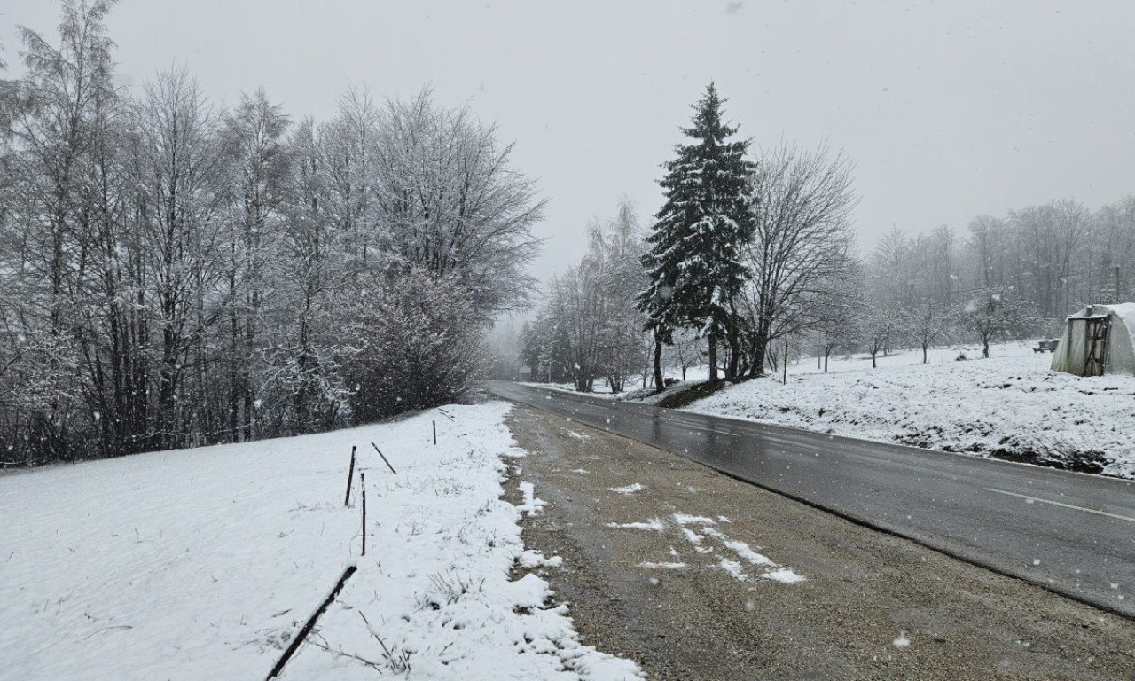 Заснеженная горная дорога близ Приеполя в условиях мартовского снегопада, деревья укрыты белым покровом