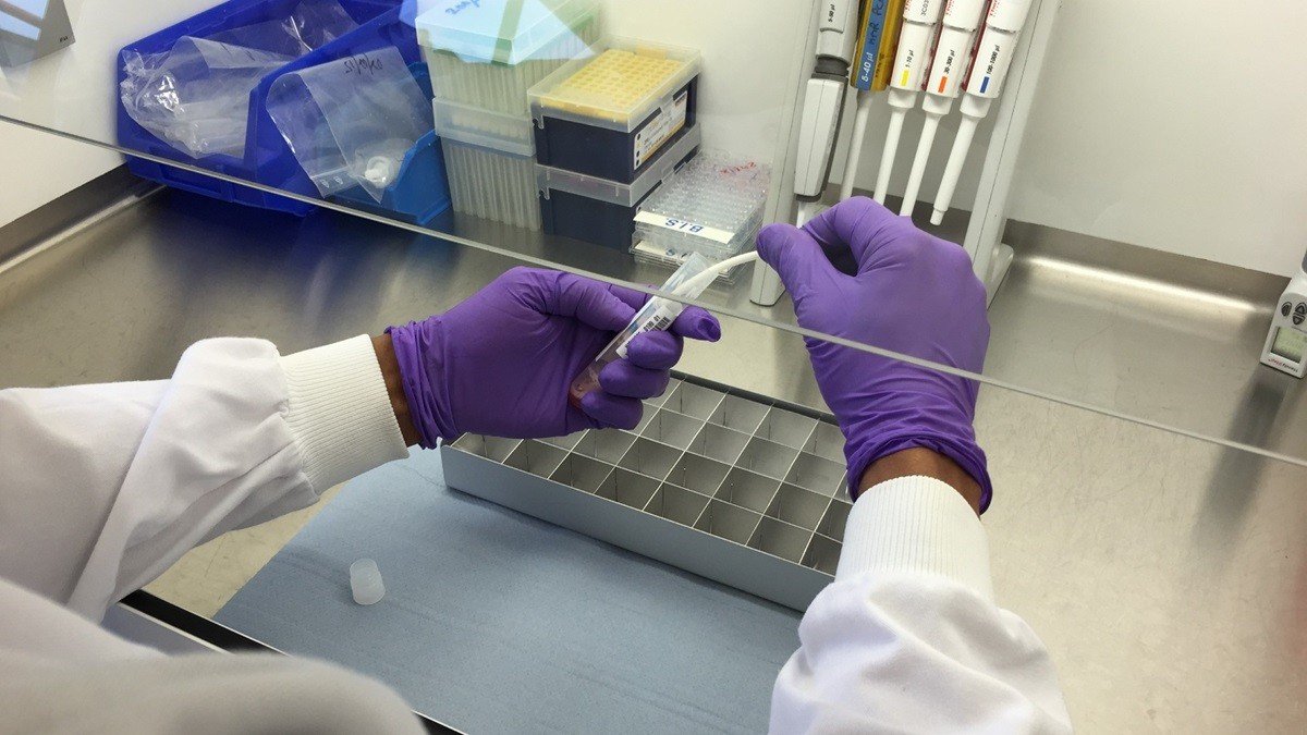 Лаборант в защитных перчатках работает с образцами в исследовательской лаборатории