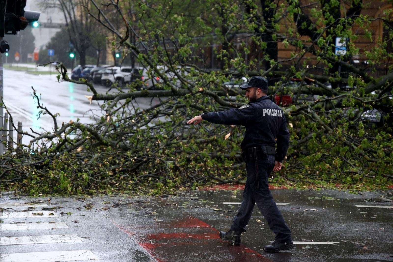 Полицейский направляет движение у поваленного ураганом дерева, перегородившего улицу в Хорватии