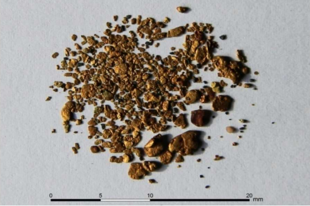 Образцы золотых самородков из грузинских рек