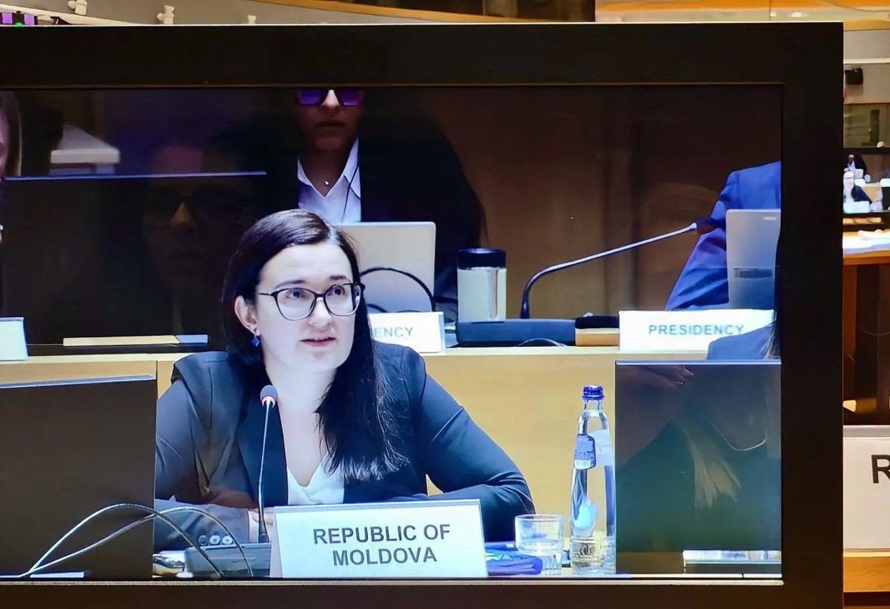 Молдавский чиновник выступает на переговорах с ЕС, видна табличка Республика Молдова. Фото: Unknown