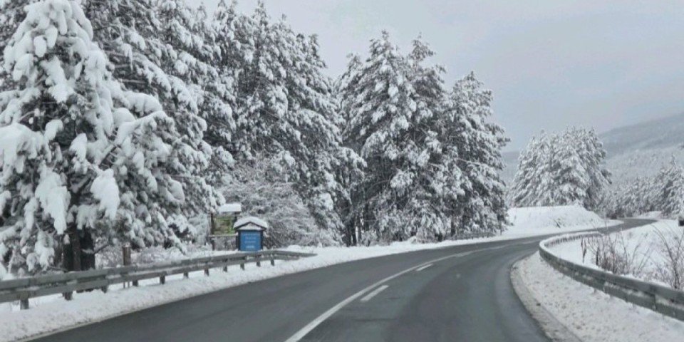 Заснеженная горная дорога среди деревьев в снегу