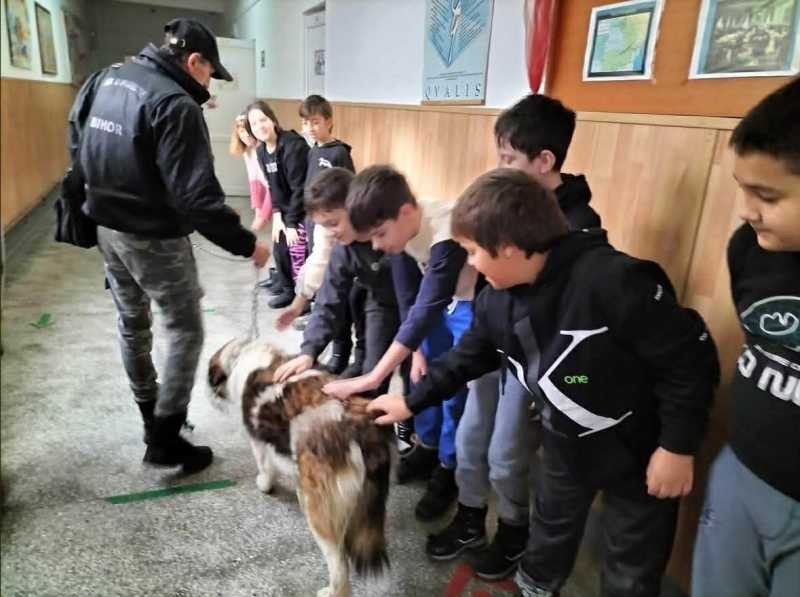 Ученики в школьном коридоре гладят собаку, которую привёл кинолог в форме, во время образовательной встречи