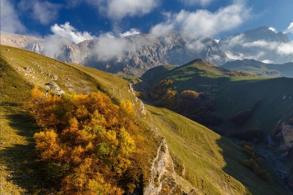 Осенний пейзаж Шахдагского национального парка: золотистые деревья на зелёных склонах и горные вершины в облаках
