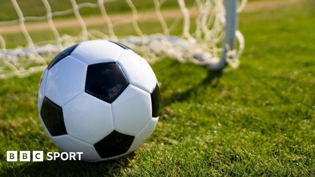 Футбольный мяч у штанги ворот на освещённом солнцем газоне — иллюстрация к материалу о матче 32-го тура Суперлиги Сербии между «Железничаром» из Панчево и «Црвеной Звездой»