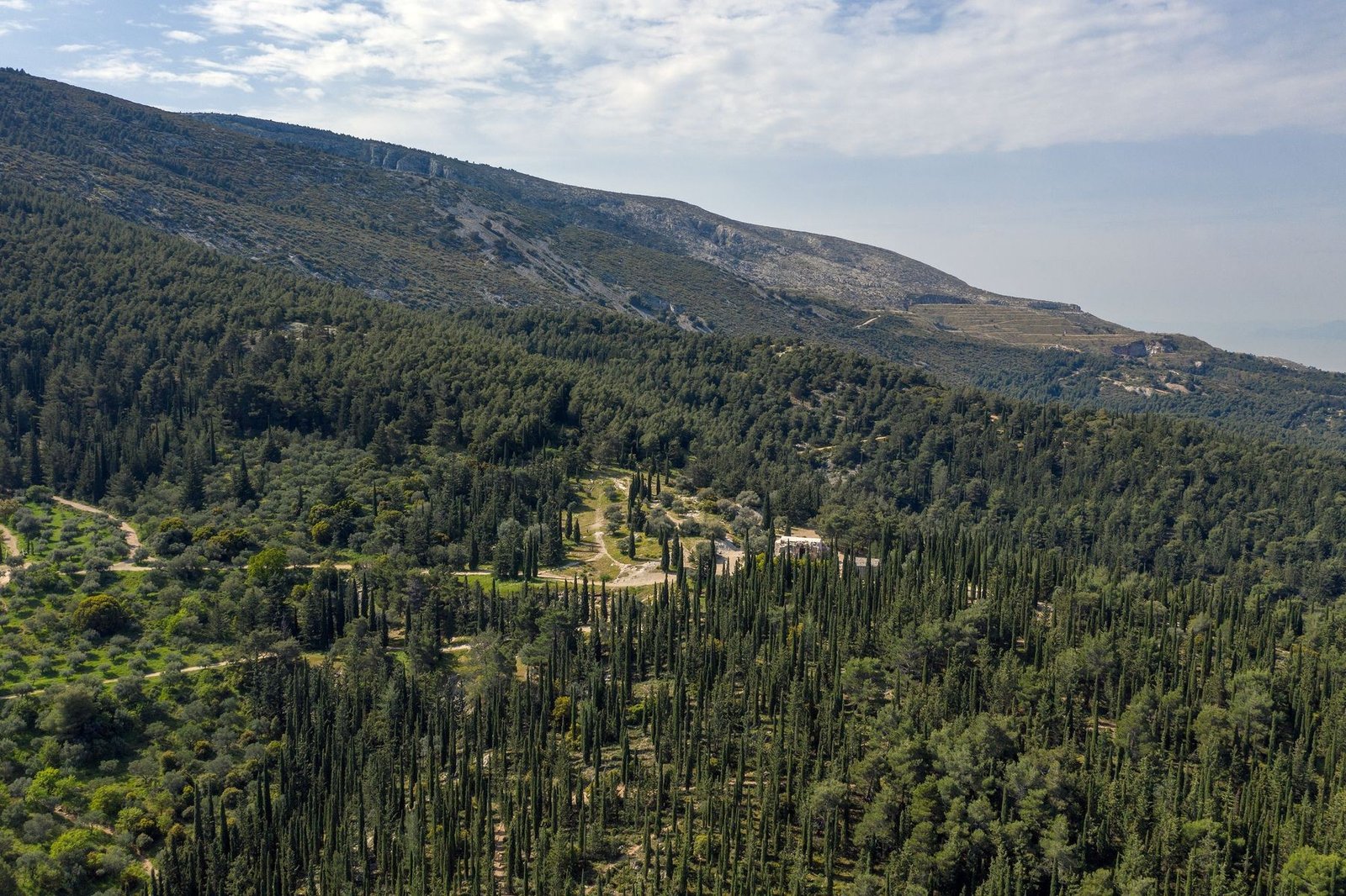 Аэрофотосъёмка эстетического леса Кесариани на горе Имиттос — густые кипарисовые и сосновые рощи с монастырским комплексом внизу