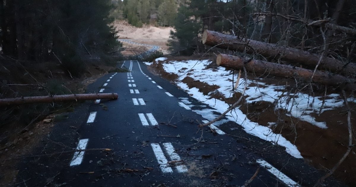 Велосипедная дорожка в горном лесу, перегороженная упавшими деревьями и засыпанная снегом